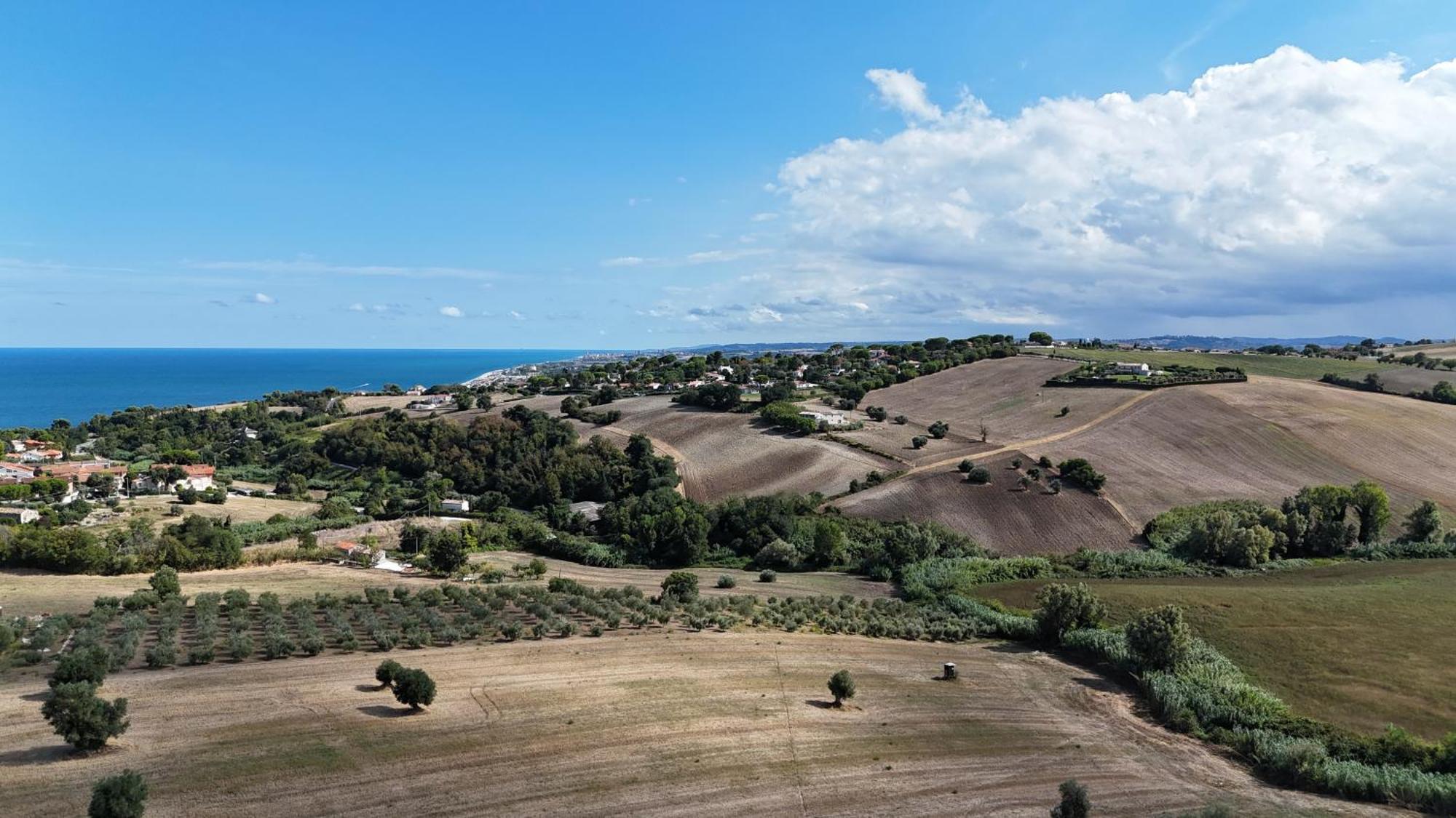 S214 - Sirolo, Trilocale Con Giardino In Zona Tranquillaアパートメント エクステリア 写真
