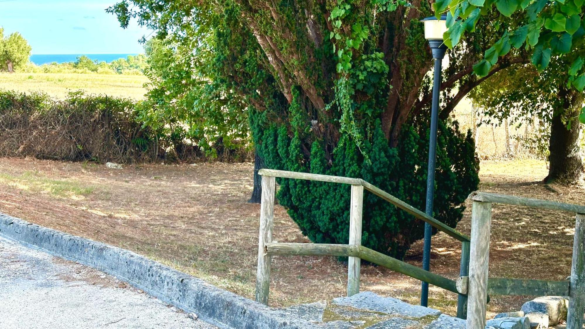 S214 - Sirolo, Trilocale Con Giardino In Zona Tranquillaアパートメント エクステリア 写真
